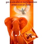 Lectio Logo · Resumen del evento